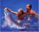 You can swim with dolphins in Holguin!